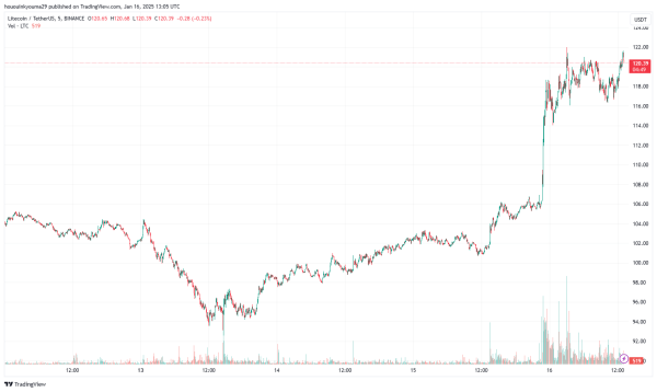 Litecoin (LTC) Jumps 19%: What’s Behind The Rally? Litecoin (LTC) Jumps 19%: What’s Behind The Rally?