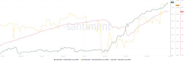 Chart of the week: XRP hits new all-time high, could extend bullish streak Chart of the week: XRP hits new all-time high, could extend bullish streak