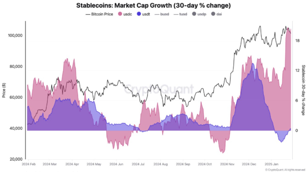 Stablecoins See Positive Momentum: Will This Lead To New Bitcoin All-Time High? Stablecoins See Positive Momentum: Will This Lead To New Bitcoin All-Time High?