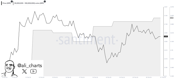 Technical Indicator Suggests DeFi Altcoin Maker (MKR) Primed for a Pullback, According to Crypto Trader