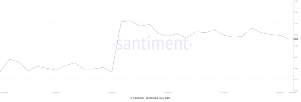 XRP Remains Stuck Below $3 as Whale Numbers Decline Slightly XRP Remains Stuck Below $3 as Whale Numbers Decline Slightly