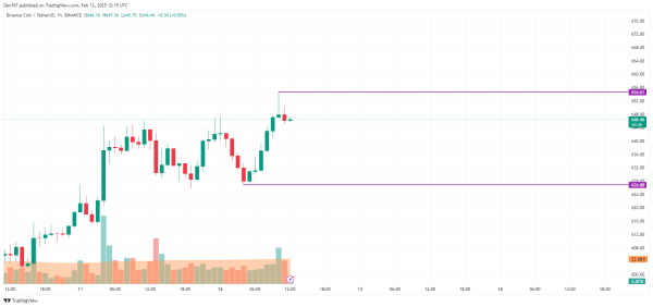 Binance Coin (BNB) Price Prediction for February 12