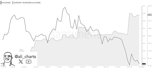 Dogecoin Eyes $1: Will ETF Approval Make It Happen?