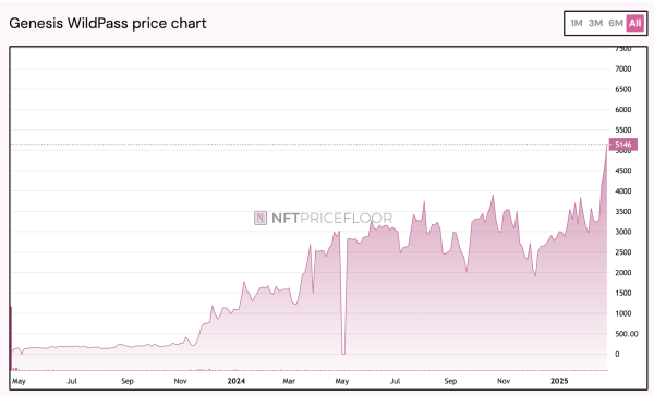 Wildcard moves NFTs from Polygon to Ethereum, shares token strategy Wildcard moves NFTs from Polygon to Ethereum, shares token strategy