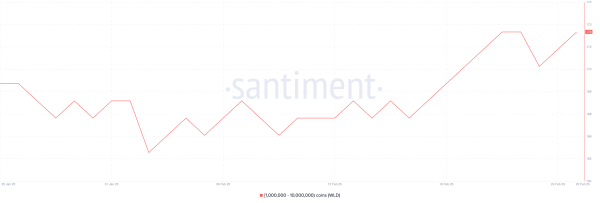 What Crypto Whales Are Buying After the Market Crash? What Crypto Whales Are Buying After the Market Crash?