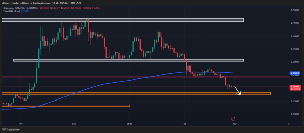 Time to Buy Dogecoin? Whales Buy 530 Million DOGE