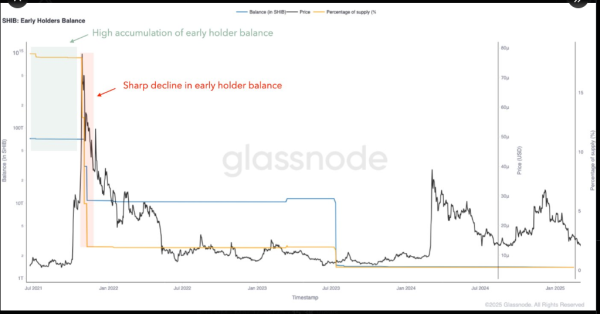 Here’s Why Shiba Inu (SHIB) Price Could Rally 17X