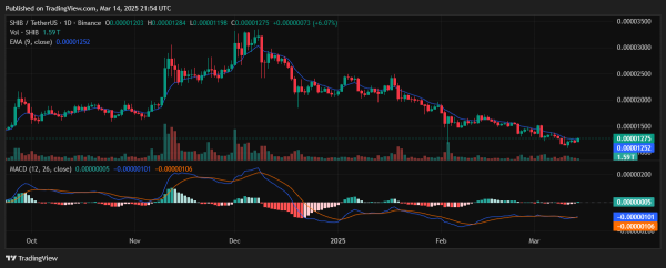Shiba Inu (SHIB) Price Rallies 7%: Is the Sell-Off Finally Over?