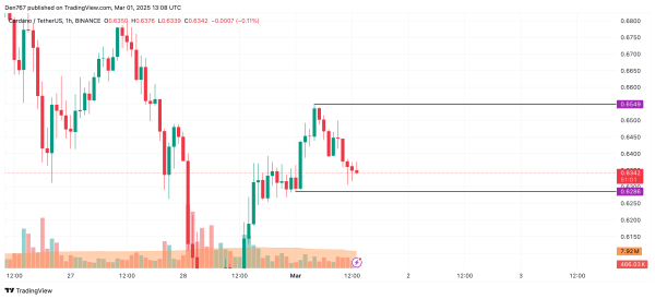 Cardano (ADA) Price Prediction for March 1