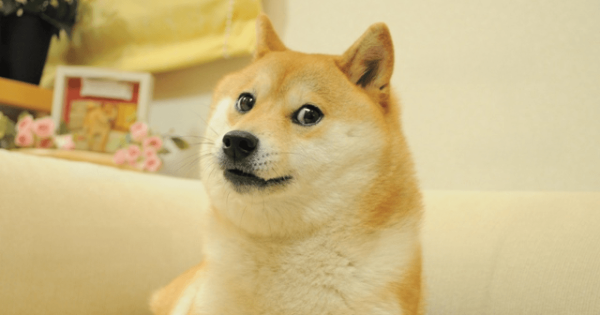 What Is Dogecoin? How a Joke Cryptocurrency Became a $25B Phenomenon What Is Dogecoin? How a Joke Cryptocurrency Became a $25B Phenomenon