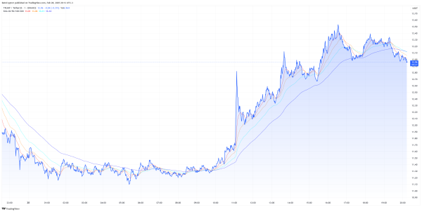 TRUMP and MAGA Surge After the US President’s Heated Meeting With Zelensky