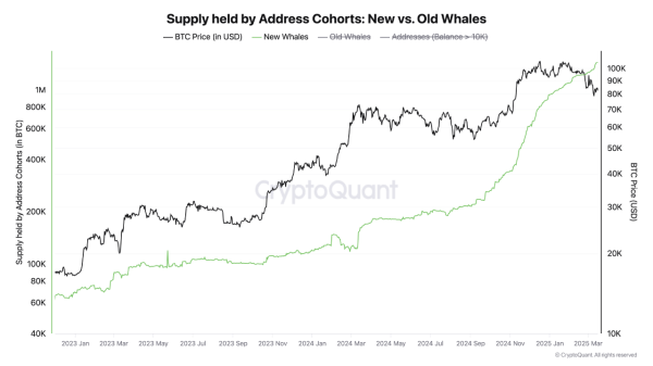 Bitcoin Whales Are Back—Could This Be the Catalyst for the Next Rally? Bitcoin Whales Are Back—Could This Be the Catalyst for the Next Rally?