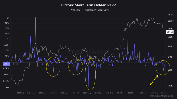 Bitcoin’s Exchange Flows Indicate Changing Investor Behavior—What’s Next?