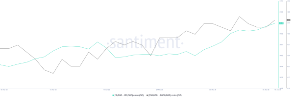 What Crypto Whales Are Buying After the Black Monday Crash
