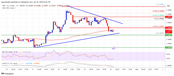 XRP Price Takes a Breather — Can Bulls Bounce Back from Here?