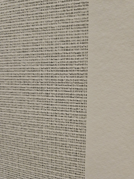 SuperRare inaugurates the NFT gallery “Offline” in New York SuperRare inaugurates the NFT gallery “Offline” in New York