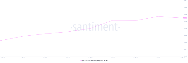 Crypto Whales Bought These Altcoins in the Third Week of April 2025
