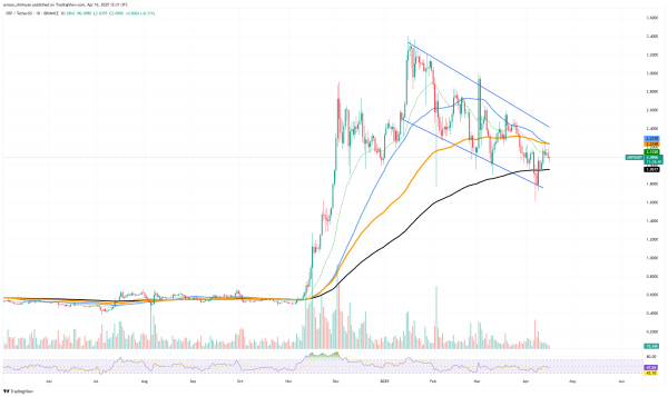 XRP Burns Surge 100%: Here's What Caused It