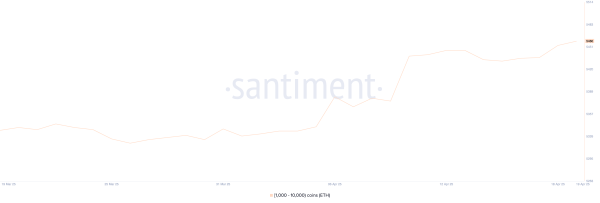 What Crypto Whales are Buying For May 2025