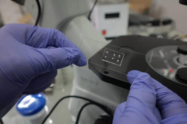 Two Guys, One Track: Sperm Racing Is Now a Thing—Yes, It Involves Crypto Two Guys, One Track: Sperm Racing Is Now a Thing—Yes, It Involves Crypto