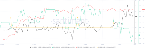 Here are Fearless XRP Holders Holding 1,000,000 or more XRP