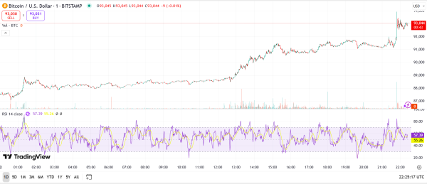 Tesla confirms Bitcoin stash intact despite Q1 earnings miss