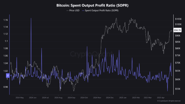 Why Has Bitcoin Rally Stalled? On-Chain Data Provides Hints