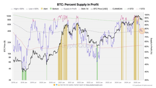Bitcoin Market Nears Equilibrium as 80% of Holders Stay in Profit, Says Analyst
