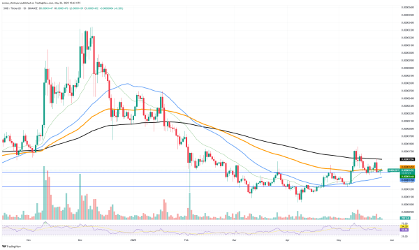 Shiba Inu (SHIB) Lost 83% Inflows: Who Caused It?