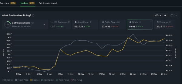 Pepe price nears breakout as whales buy 170 billion coins