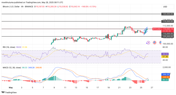 Bitcoin Price Eyes $115K After Major Trendline Rebound Bitcoin Price Eyes $115K After Major Trendline Rebound