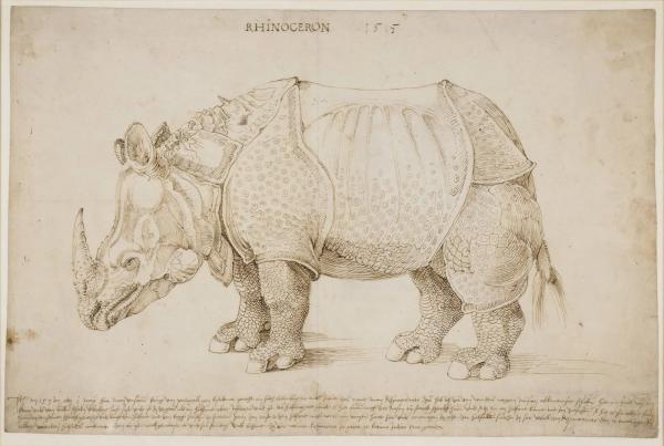 British Museum Puts Sculptures of Dürer's 'Rhinoceros' on Bitcoin Blockchain