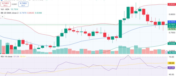 Cardano holds key support amid ADA misappropriation claims — will ADA crash when audit results are released?
