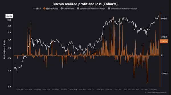 Bitcoin ATH Met With Mixed Whale Reactions – What’s The Market Signal?
