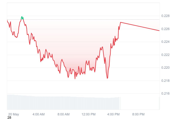 $23.35 Billion Dogecoin (DOGE) Moved by Whales in Just 24 Hours