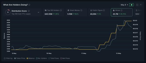 5 Altcoins Crypto Whales are Buying after the US-China Trade Deal