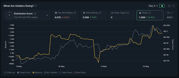 5 Altcoins Crypto Whales are Buying after the US-China Trade Deal