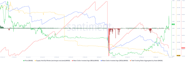 Mask Network price pumps then dumps as whales sell