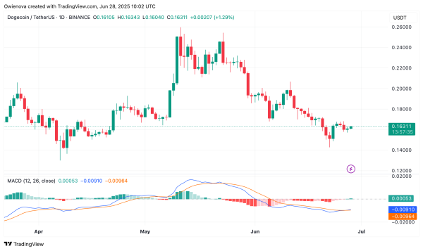 Dogecoin Silent Build-Up: Double Bottom Hints At Explosive Move To $0.47