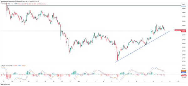 ONDO Hits Record TVL With Ripple Backing—Will This Trigger a Price Breakout? ONDO Hits Record TVL With Ripple Backing—Will This Trigger a Price Breakout?