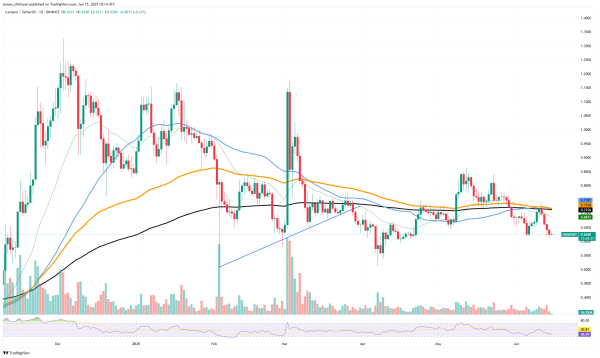 Cardano (ADA) Enters Top 1 With This Metric