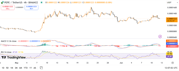 Will PEPE Coin Price See Breakout To $0.0003 Amid Volatile Activity?