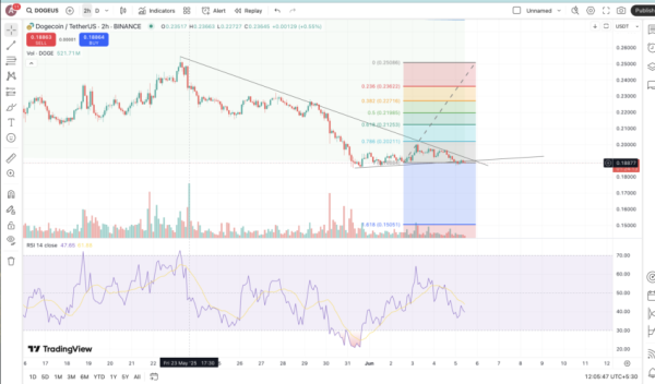 Should You Buy Dogecoin In 2025: A Complete Guide Should You Buy Dogecoin In 2025: A Complete Guide