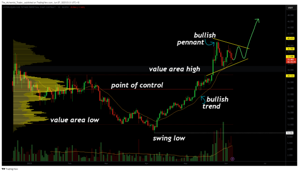 Hyperliquid coin forms bullish pennant as momentum builds: is a breakout imminent?
