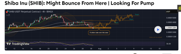Shiba Inu Price Prediction: RSI Signals Bullish Reversal as SHIB Targets 25% Rally Shiba Inu Price Prediction: RSI Signals Bullish Reversal as SHIB Targets 25% Rally