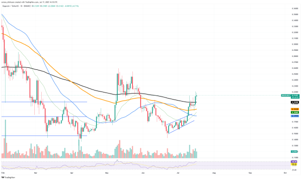 Dogecoin (DOGE): Biggest Breakout in 2025? Shiba Inu (SHIB) Must Break This, XRP Becomes Euphoric