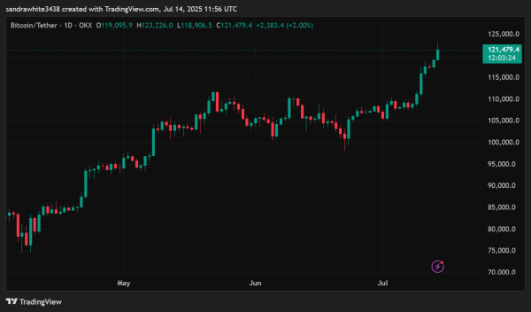 Delay In Bull Market Could Push Bitcoin Higher Than Expected