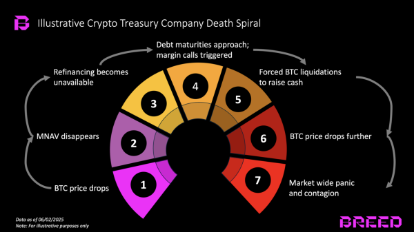 Will Bitcoin Treasury Companies Kickstart the Next Crypto Bear Market? Will Bitcoin Treasury Companies Kickstart the Next Crypto Bear Market?