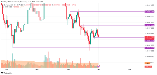 SHIB Price Prediction for July 1