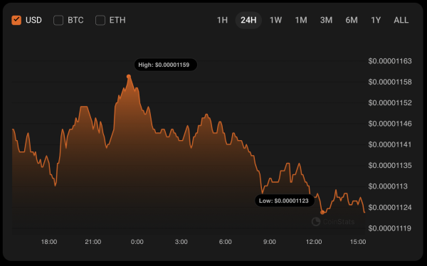 SHIB Price Prediction for July 1